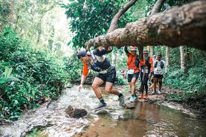 BIB: 
                            <button type="button" onclick="openModal(25375175)" class="btn btn-primary btn-sm float-right btn-popup" data-toggle="modal" data-target=".modal-high-quality">
                        <i class="fas fa-shopping-cart"></i> Add to Cart
                    </button>
                                            <button type="button" onclick="isThisMe(25375175, true)" class="btn btn-success btn-sm float-right btn-popup btn-isme hidden" data-toggle="tooltip" data-placement="bottom" title="นี่คือรูปของคุณใช่ไหม คลิกที่นี่เพื่อเอาเข้าอัลบั้ม">
                        <i class="fas fa-plus"></i> Add to album
                    </button>
                    <button type="button" onclick="isThisMe(25375175, false)" class="btn btn-warning btn-sm float-right btn-popup btn-isnotme hidden">
                        <i class="fas fa-ban"></i> Remove from album
                    </button>